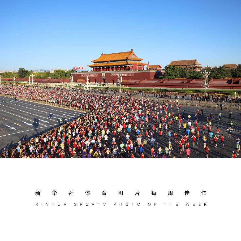 87365最快检测中心图片展示